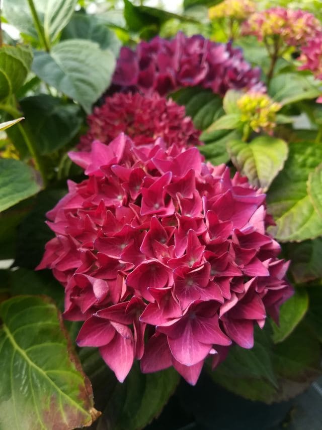 35 litres (6 à 8 ans)