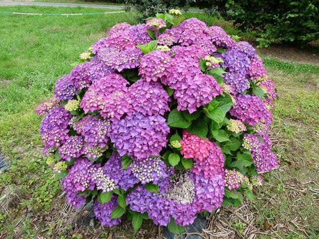 80/110 Litres (12 à 18 ans)