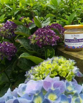 Miel de la pépinière “Le rucher des hortensias”